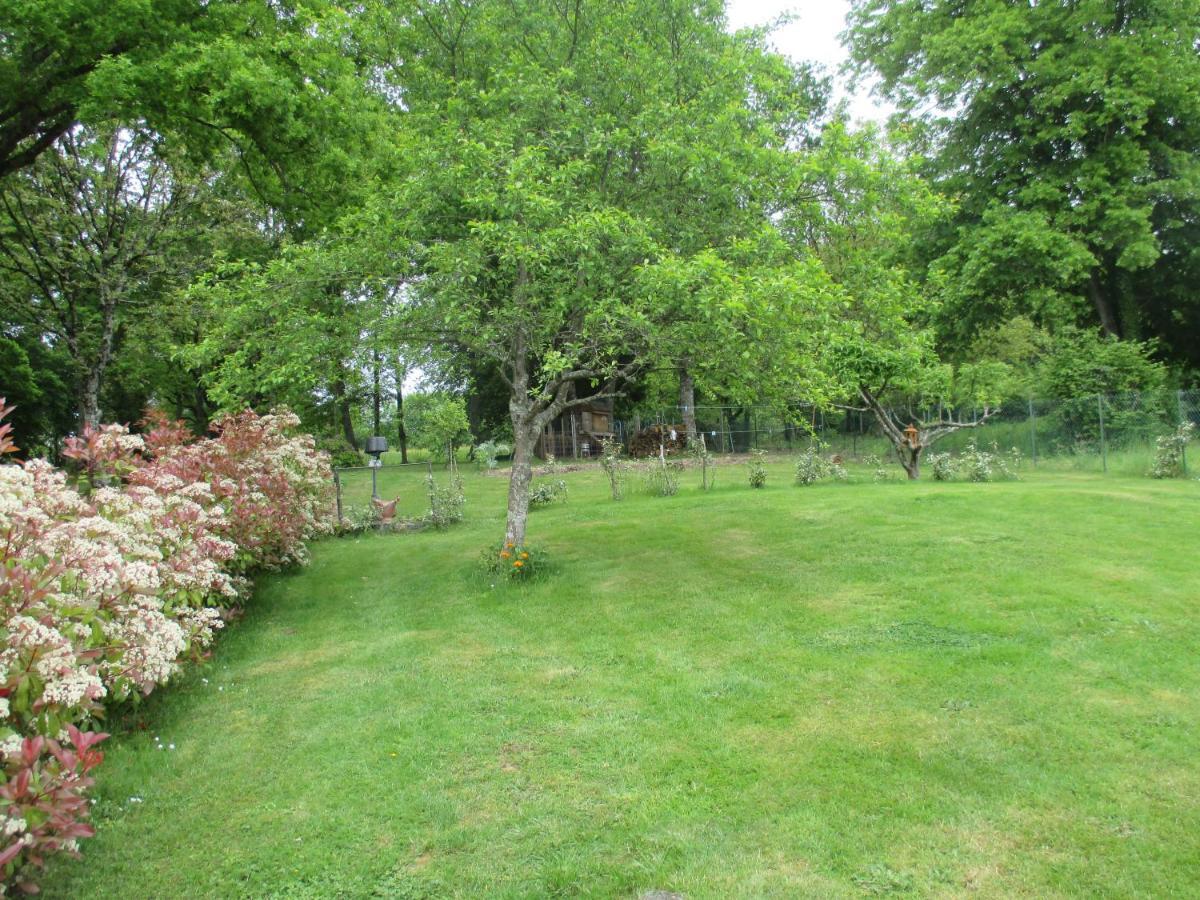 La Griotterie Villa Saint-Amand-en-Puisaye Buitenkant foto